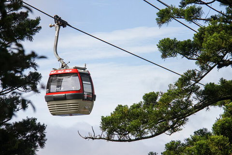 Sydney Taronga Zoo General Entry Ticket And Wild Australia Experience - Attractions Sydney 2