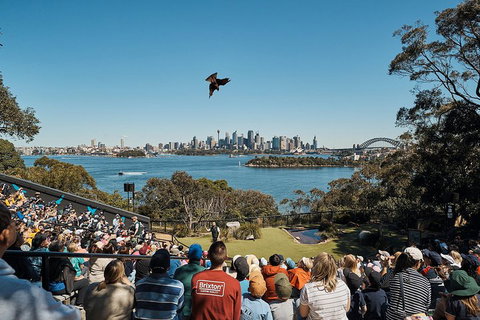 Sydney Taronga Zoo General Entry Ticket And Wild Australia Experience - Attractions Sydney 5