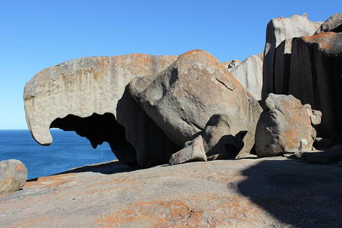 Kangaroo Island Personal Group Tours - Attractions Sydney 2
