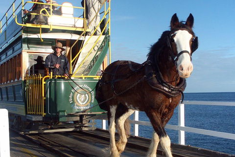 Full-Day Tour In South Australia Highlights - Attractions Sydney 1