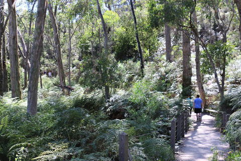 Self-Guided Waterfall Gully To Mount Lofty Hike From Adelaide - Attractions Sydney 2