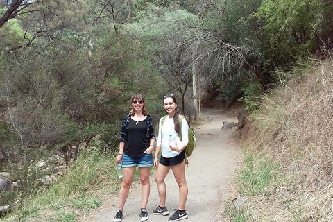 Self-Guided Waterfall Gully To Mount Lofty Hike From Adelaide - Attractions Sydney 4