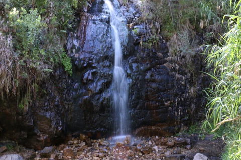 Self-Guided Waterfall Gully To Mount Lofty Hike From Adelaide - Attractions Sydney 5