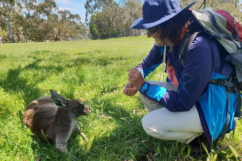 Mount Lofty Hike And Cleland Wildlife Park Day Trip From Adelaide - Attractions Sydney 1