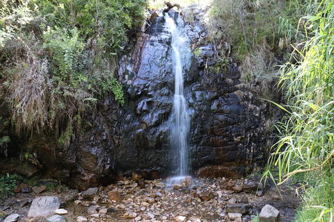 Mount Lofty Hike And Cleland Wildlife Park Day Trip From Adelaide - Attractions Sydney 4