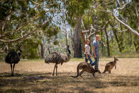 Mount Lofty Hike And Cleland Wildlife Park Day Trip From Adelaide - Attractions Sydney 5