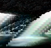 Natural Bridge Glow Worm Night Tour from Gold Coast - Attractions Sydney