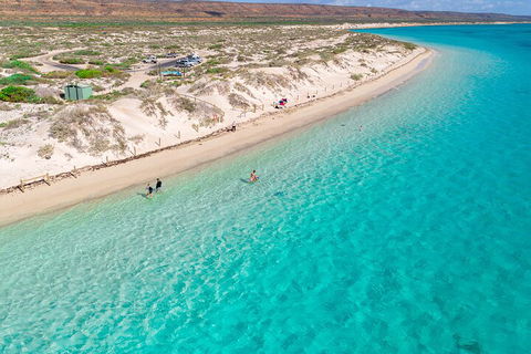 Ningaloo In A Day - Full Day Hike And Snorkel Tour With Lunch - Attractions Sydney 0