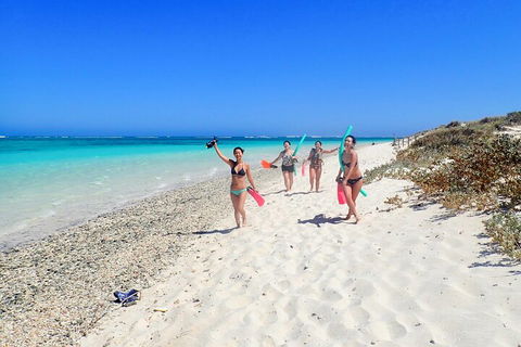Ningaloo In A Day - Full Day Hike And Snorkel Tour With Lunch - Attractions Sydney 1