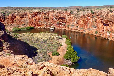 Ningaloo In A Day - Full Day Hike And Snorkel Tour With Lunch - Attractions Sydney 2