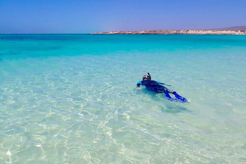 Ningaloo In A Day - Full Day Hike And Snorkel Tour With Lunch - Attractions Sydney 4