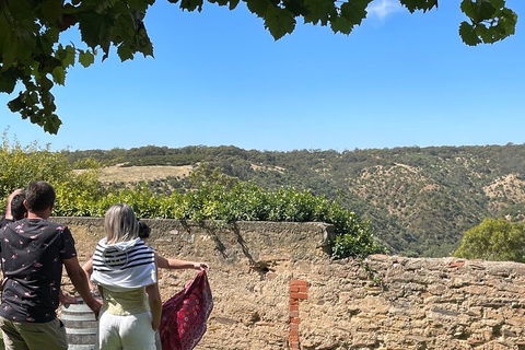 Private Mclaren Vale Wine Tour - Attractions Sydney 2