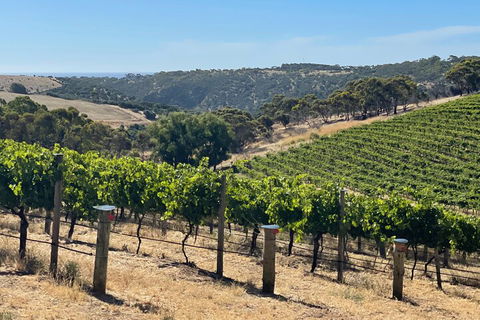 Private Mclaren Vale Wine Tour - Attractions Sydney 3