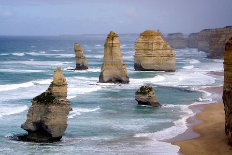 LGBT+ Friendly 2 Day Private Tour Great Ocean Road + Phillip Island - Attractions Sydney 0