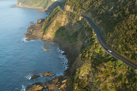 LGBT+ Friendly 2 Day Private Tour Great Ocean Road + Phillip Island - Attractions Sydney 4