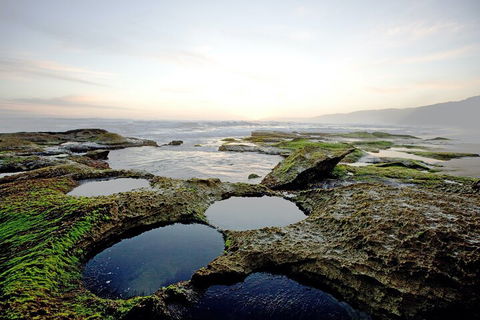 LGBT+ Friendly 3 Day Private Tour Great Ocean Road & Phillip Island - Attractions Sydney 5