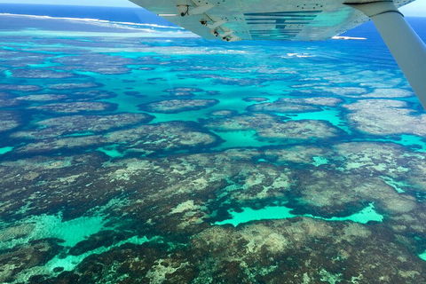 Shipwreck Special Full Day Tour Of The Abrolhos Islands - Attractions Sydney 1