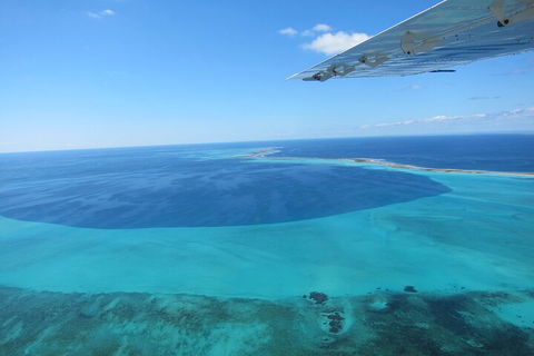 Shipwreck Special Full Day Tour Of The Abrolhos Islands - Attractions Sydney 2