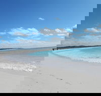 Shipwreck Special Nature Tour/Half Day Tour - Attractions Sydney