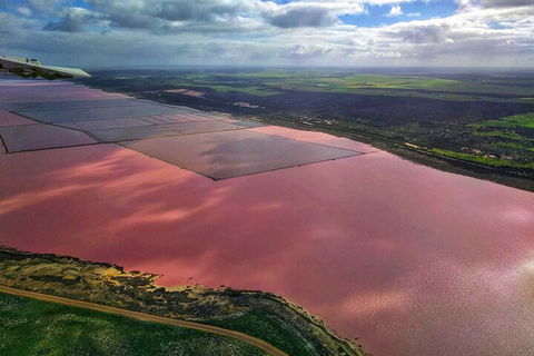 Kalbarri, Pink Lake And Abrolhos Islands Nature Tour - Attractions Sydney 1