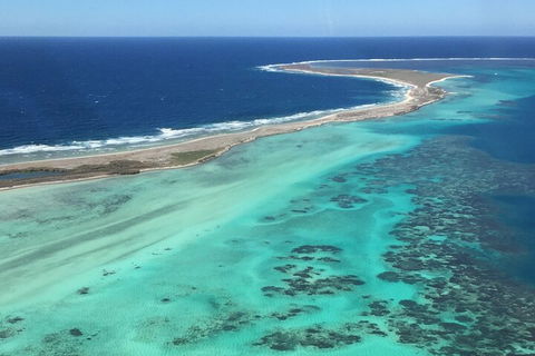 Kalbarri, Pink Lake And Abrolhos Islands Nature Tour - Attractions Sydney 3