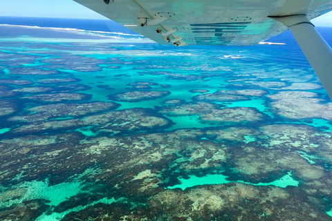 Kalbarri, Pink Lake And Abrolhos Islands Nature Tour - Attractions Sydney 5