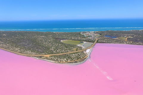 Pink Lake + Abrolhos Islands Nature Tour - Attractions Sydney 4