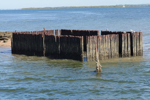 Best Of Moreton Bay Cruise - Attractions Sydney 1