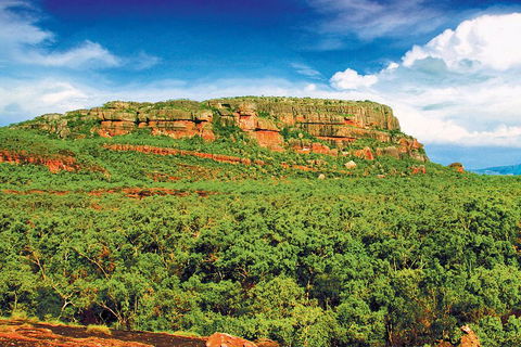 Kakadu, Nourlangie And Yellow Waters Tour From Darwin - Attractions Sydney 3