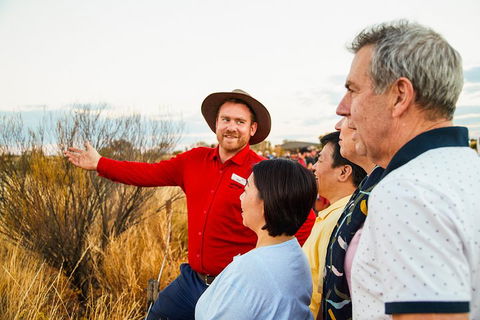 Uluru (Ayers Rock) Sunset With Outback Barbecue Dinner And Star Tour - Attractions Sydney 3