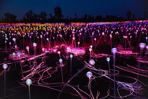 Uluru (Ayers Rock) Field Of Light Sunrise Tour - Attractions Sydney 1