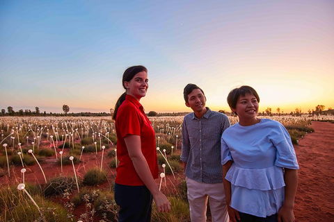 Uluru (Ayers Rock) Field Of Light Sunrise Tour - Attractions Sydney 2