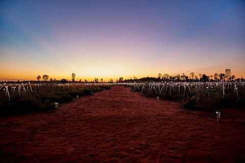 Uluru (Ayers Rock) Field Of Light Sunrise Tour - Attractions Sydney 3
