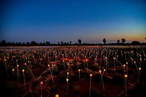 Uluru (Ayers Rock) Field Of Light Sunrise Tour - Attractions Sydney 4