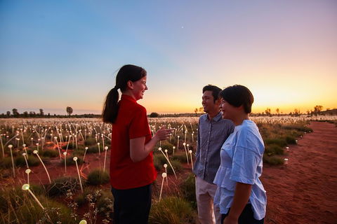 Uluru (Ayers Rock) Field Of Light Sunrise Tour - Attractions Sydney 5