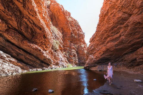 West MacDonnell Ranges- Half Day Trip From Alice Springs - Attractions Sydney 1