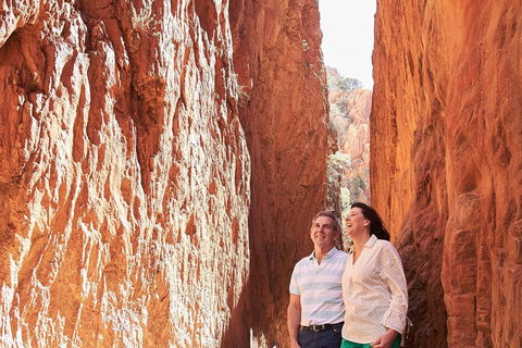 West MacDonnell Ranges- Half Day Trip From Alice Springs - Attractions Sydney 2