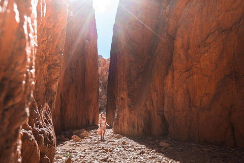 West MacDonnell Ranges- Half Day Trip From Alice Springs - Attractions Sydney 4