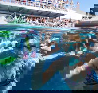Great Barrier Reef Day Cruise from Cairns Including Snorkeling and Marine Biologist Presentation - Attractions Sydney