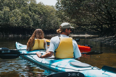 Kayak Tour In Adelaide Dolphin Sanctuary - Attractions Sydney 2