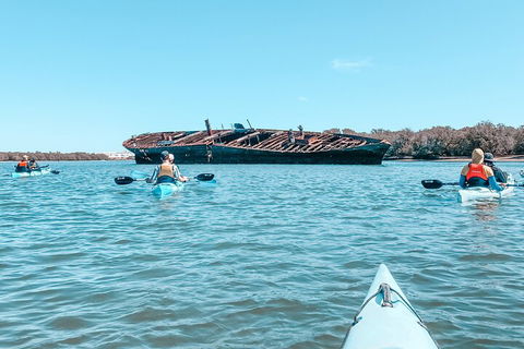 Kayak Tour In Adelaide Dolphin Sanctuary - Attractions Sydney 3