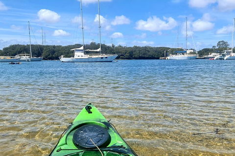 Kayak Tour In Adelaide Dolphin Sanctuary - Attractions Sydney 4