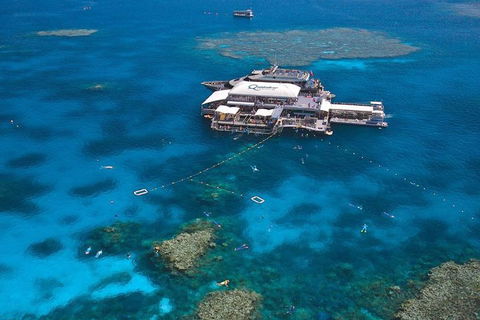 Quicksilver Outer Great Barrier Reef Snorkel Cruise From Palm Cove - Attractions Sydney 1