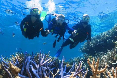 Quicksilver Outer Great Barrier Reef Snorkel Cruise From Palm Cove - Attractions Sydney 3
