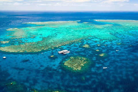 Quicksilver Outer Great Barrier Reef Snorkel Cruise From Palm Cove - Attractions Sydney 4