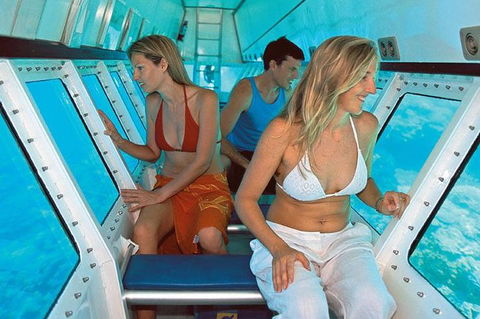 Quicksilver Outer Great Barrier Reef Snorkel Cruise From Palm Cove - Attractions Sydney 5