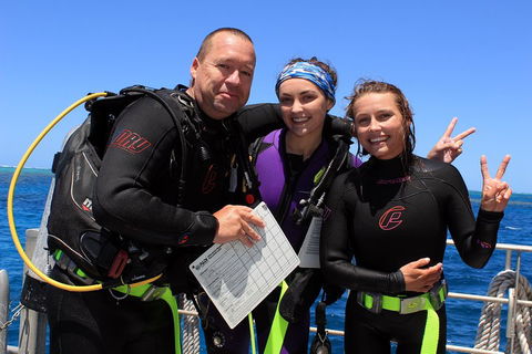 Quicksilver Dive 4 Day PADI Learn To Dive Course - Attractions Sydney 0