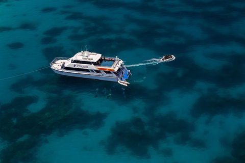 Quicksilver Dive 4 Day PADI Learn To Dive Course - Attractions Sydney 1