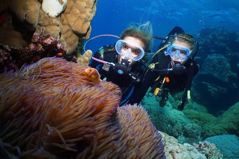 Quicksilver Dive 4 Day PADI Learn To Dive Course - Attractions Sydney 4