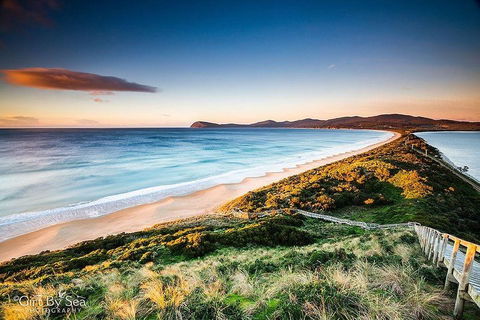Bruny Island Private Charter Service - Attractions Sydney 0